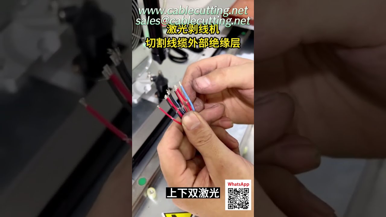 Stripper Laser CO2 a Doppia Testa - Precisione ±0,1mm per Spellatura Senza Danni