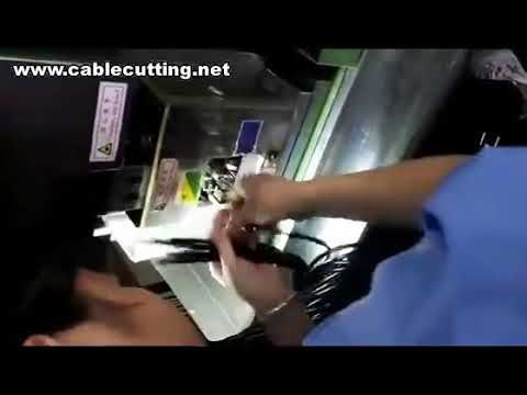Macchina per terminali spine elettriche: crimpatura e inserimento automatici