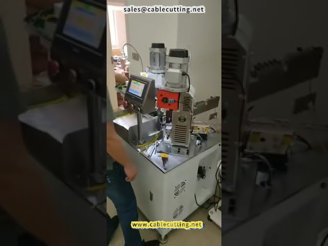 Macchina per Terminali a Doppia Testa con Piastra Vibrante - Crimpatura Automatica