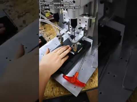 Macchina Avvitatrice Automatica con Alimentazione Viti e Serraggio Preciso