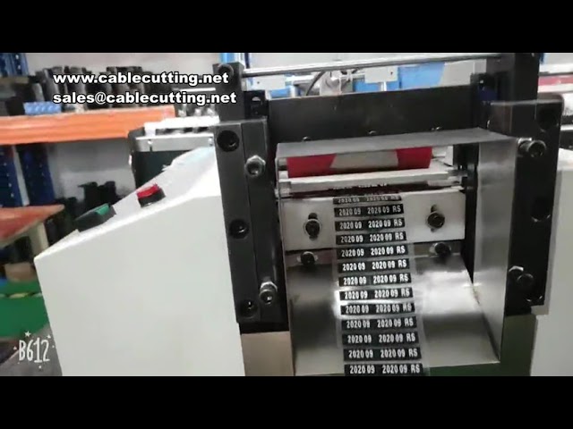 Taglierina automatica per schiuma semirotta: macchina per taglio EVA