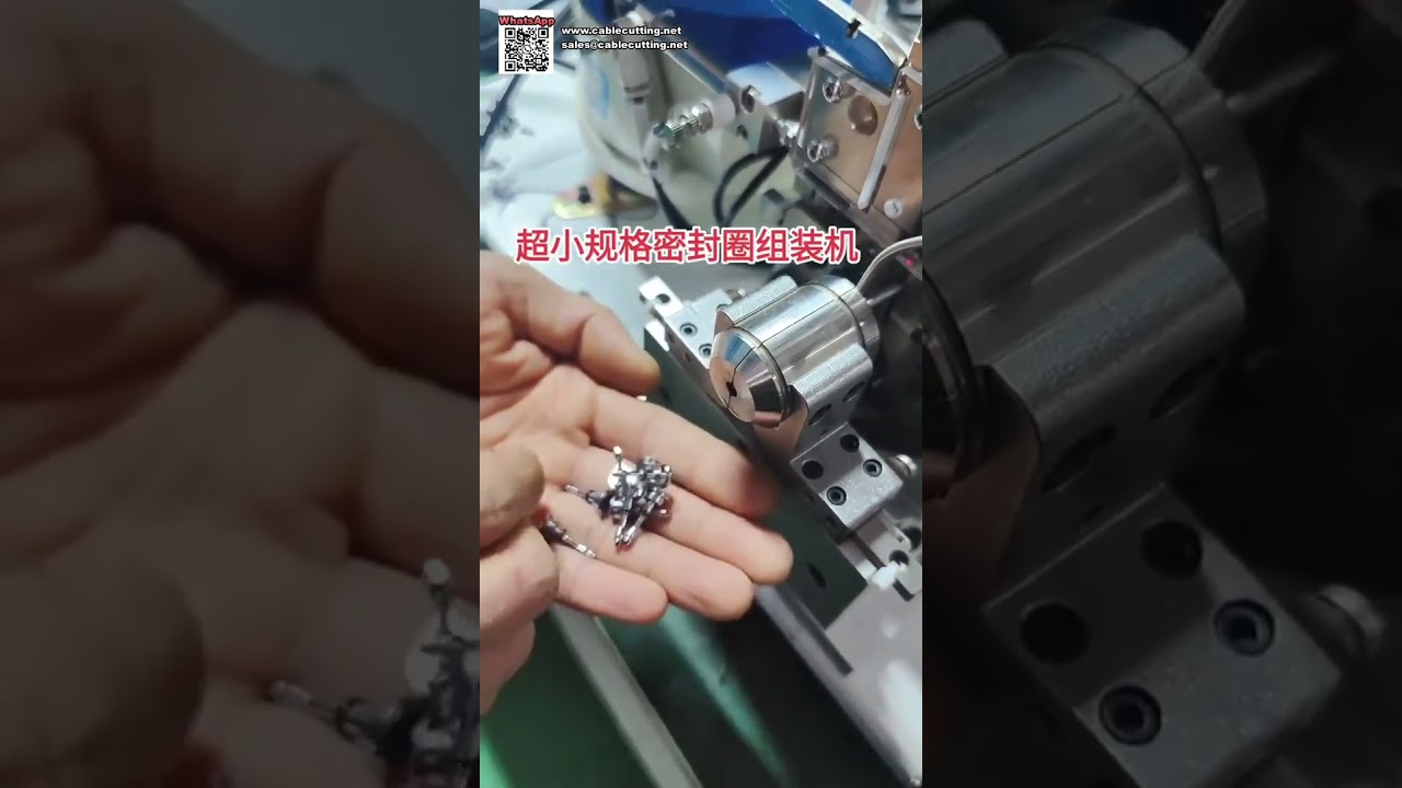 Equipamento de Montagem de Anéis de Vedação Micro Ultra Pequenos - Produção Direta de Fábrica