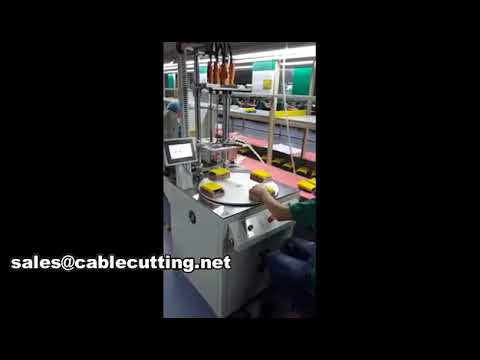Macchina Automatica per Avvitamento Viti WPM-803 | Avvitatore Automatico ad Alta Precisione