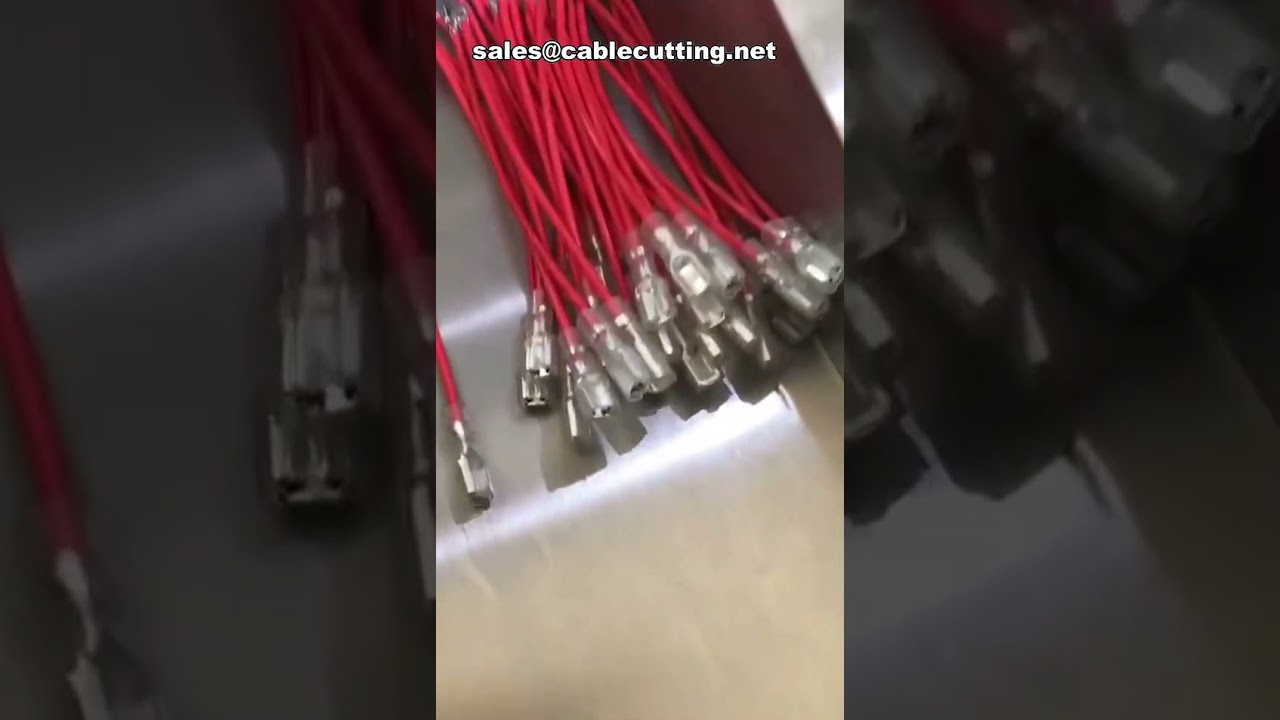 Macchina Automatica per Taglio, Spelatura, Crimpatura e Inserimento Terminali - Soluzione Completa