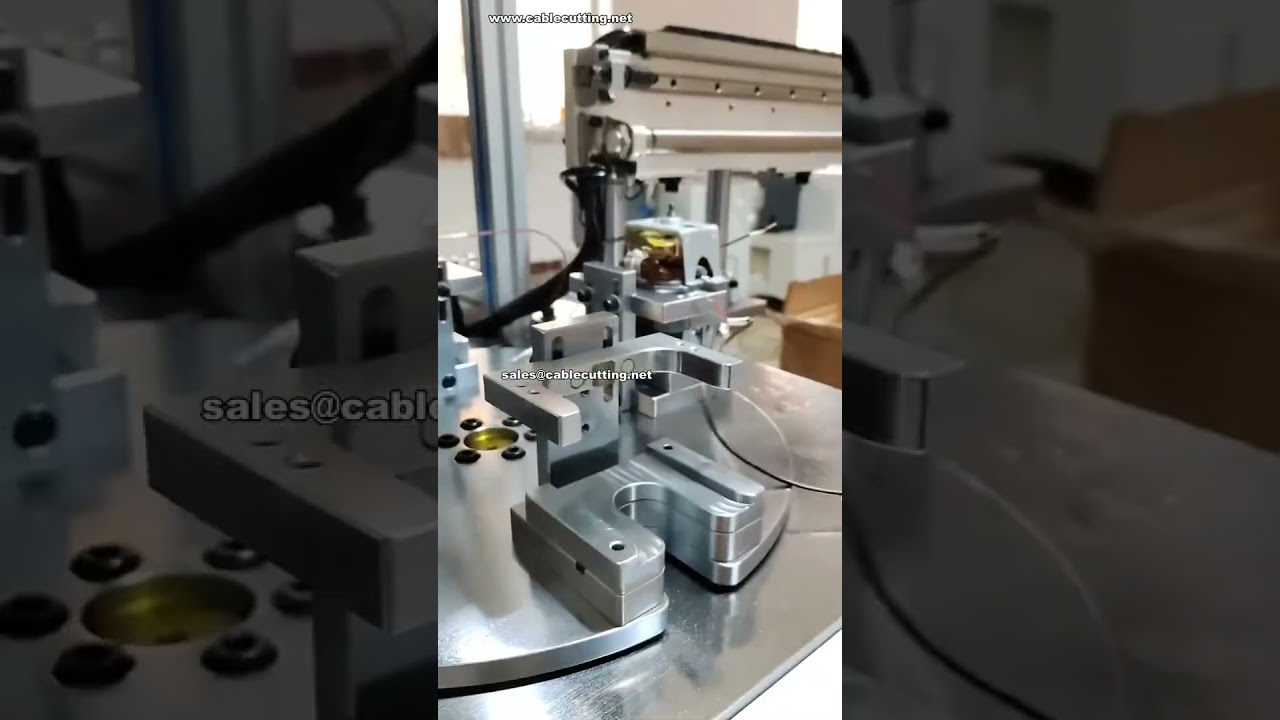 Macchina automatica specializzata per serraggio viti lunghe | Produttore